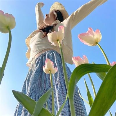 阿玛菲艳阳天